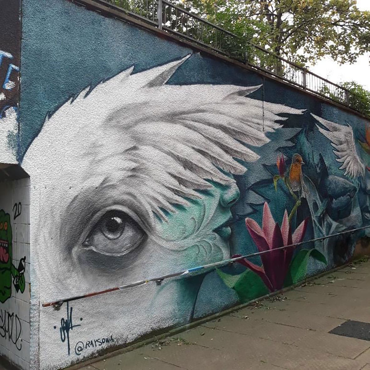 Northampton street art