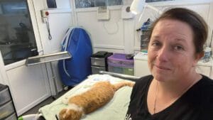 Assisting with the veterinary work